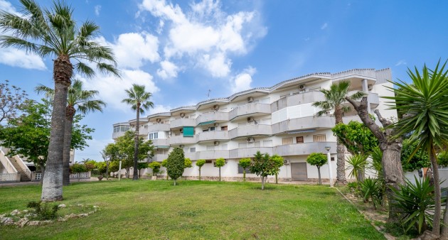 Venta - Piso - Orihuela costa - Cabo Roig