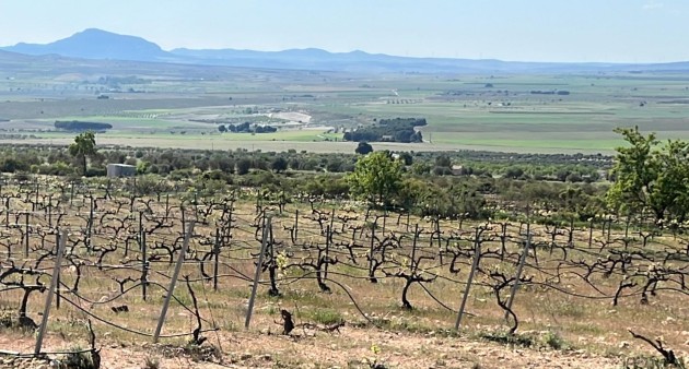 Nybygg - Villa - Yecla
