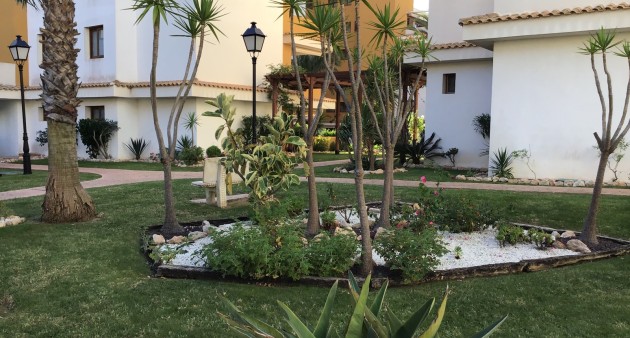 Venta - Piso - Punta Prima