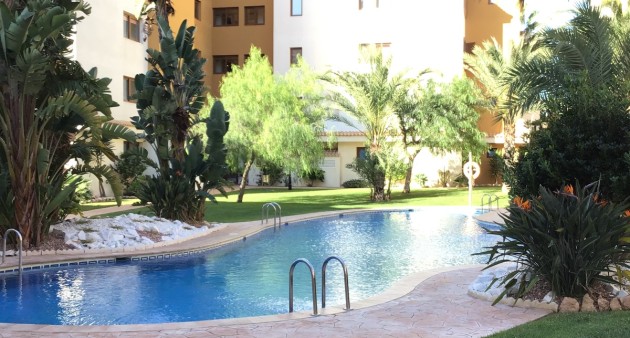 Venta - Piso - Punta Prima