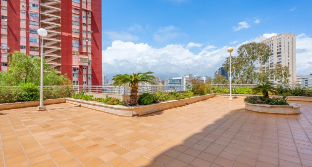 Sprzedaż - Apartament - Benidorm