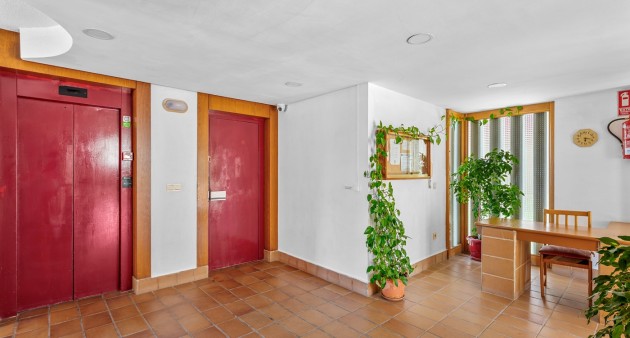 Sprzedaż - Apartament - Benidorm