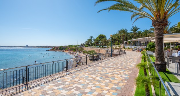 Venta - Piso - Punta Prima