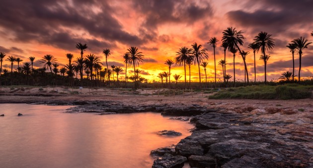 Venta - Piso - Punta Prima