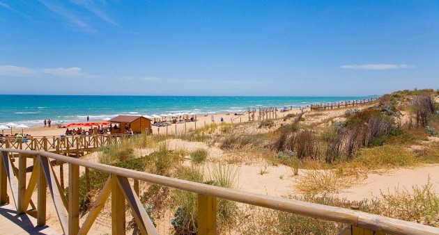 Nowo zbudowane - Apartament - Guardamar del Segura - Pueblo