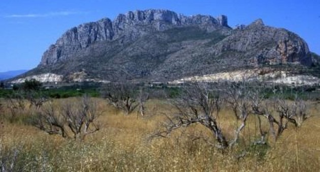 Nowo zbudowane - Apartament - El Verger