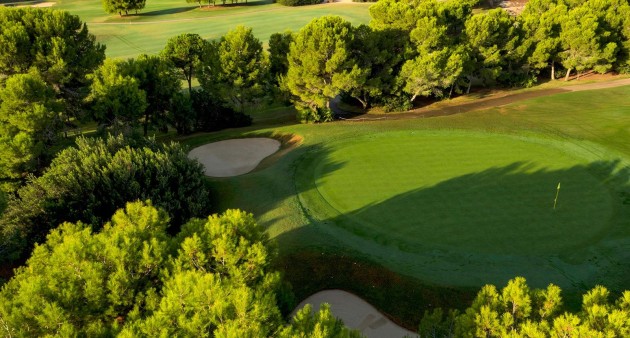 Nouvelle construction - Villa - Pilar de La Horadada - Lo Romero Golf