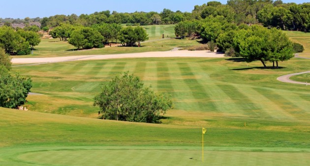 Nouvelle construction - Villa - Pilar de La Horadada - Lo Romero Golf