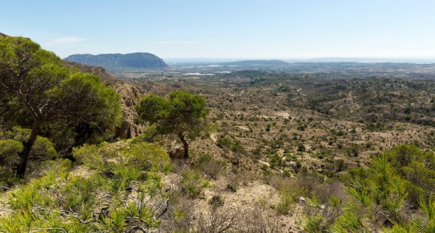 Nowo zbudowane - Willa - Aspe - Centro
