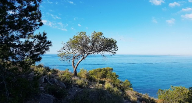 Nowo zbudowane - Apartament - Villajoyosa - Playa Les Torres