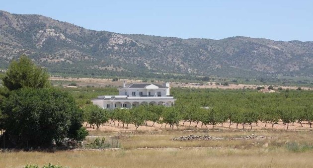 Nowo zbudowane - Willa - Pinoso - Camino Del Prado