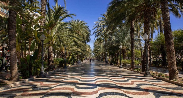 Nowo zbudowane - Apartament - Alicante - Centro