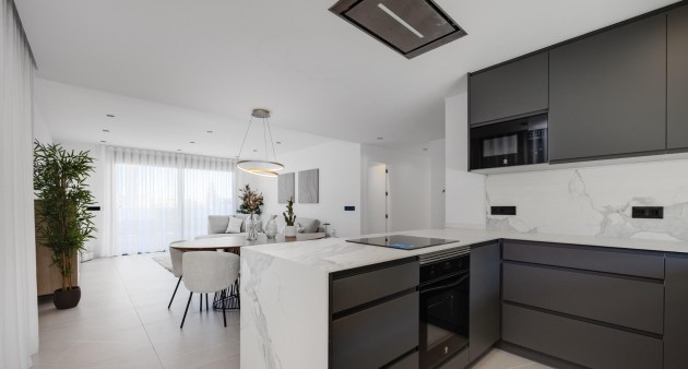 Nybygg - Villa - Torrevieja - Sector 25