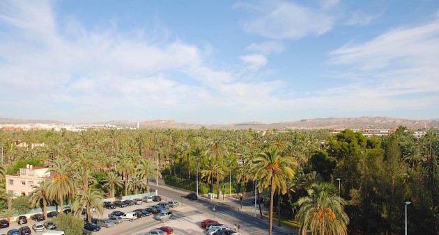 Nieuwbouw - Appartement - Elche/Elx