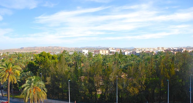 Nieuwbouw - Appartement - Elche/Elx