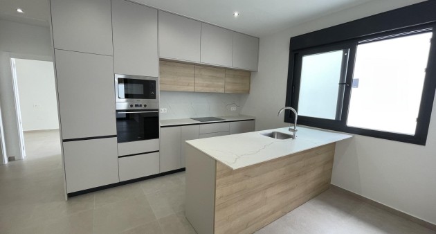Nouvelle construction - Villa - Almoradí - Heredades