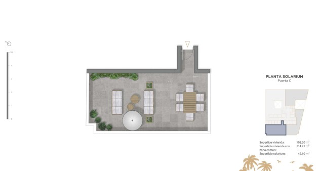 Novostavba - Penthouse - Guardamar del Segura - Pueblo