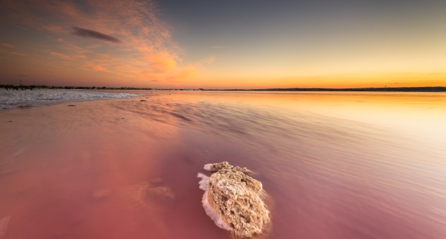 Sale - Apartment - El Raso