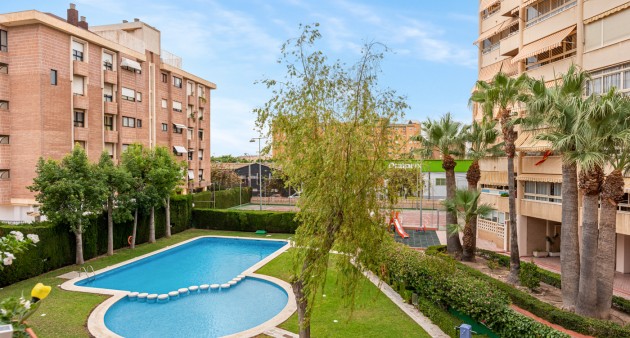 Venta - Adosado - Alicante - Babel