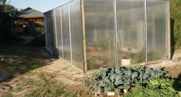 Sale - Villa - Catral