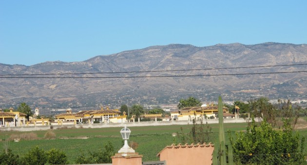 Sale - Villa - Catral