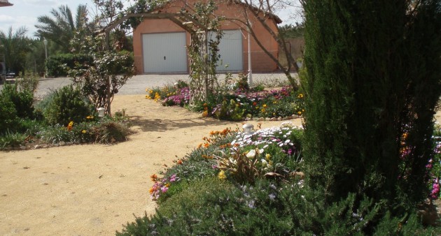 Sale - Villa - Catral