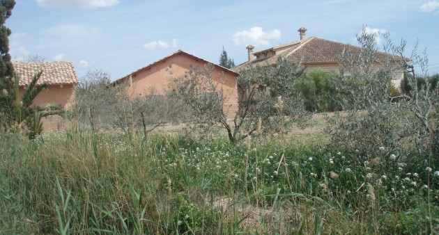 Sale - Villa - Catral
