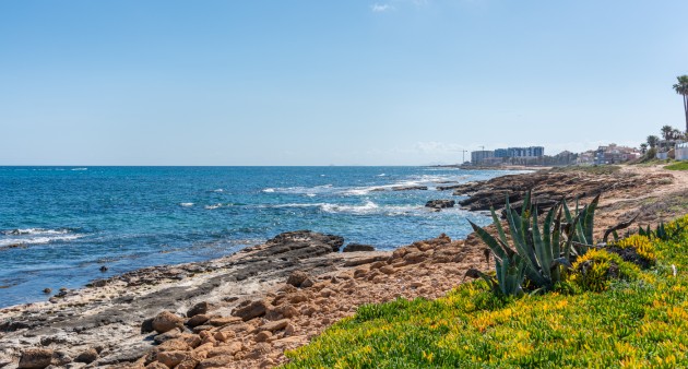 Venta - Piso - Torrevieja