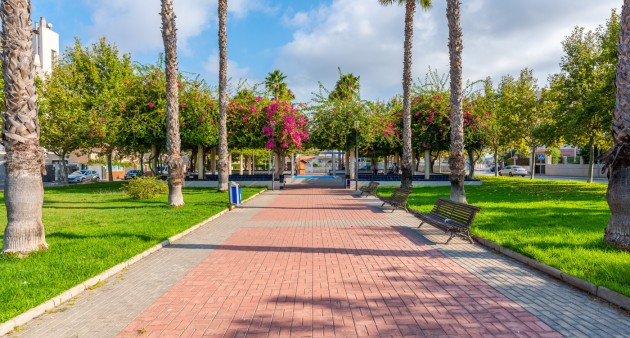 Sprzedaż - Apartament - Torrevieja