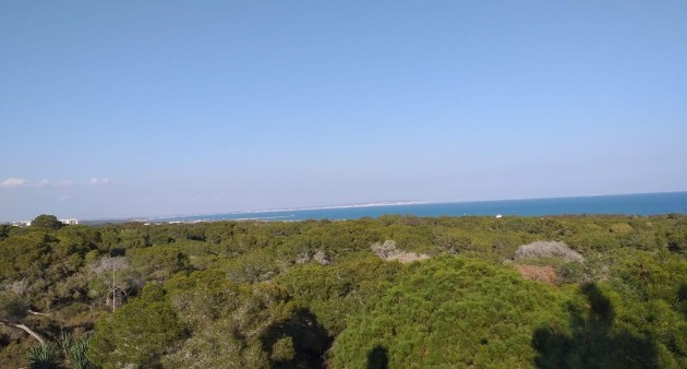 Nouvelle construction - Apartment - Guardamar del Segura