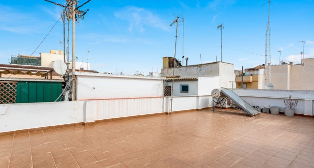 Venta - Piso - Guardamar del Segura