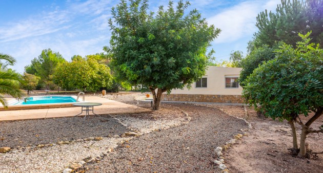 Sprzedaż - Posiadłość wiejska - Sax