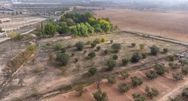 Sprzedaż - Posiadłość wiejska - Sax