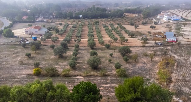 Sprzedaż - Posiadłość wiejska - Sax