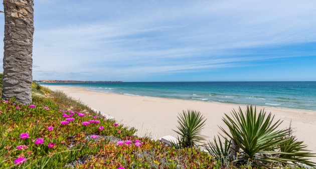 Venta - Piso - Orihuela costa - Mil Palmeras