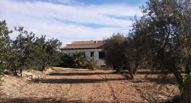 Sprzedaż - Posiadłość wiejska - Guardamar del Segura