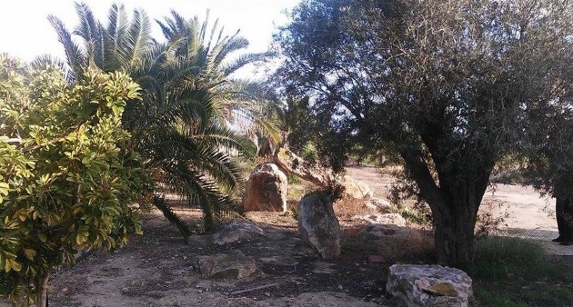 Sprzedaż - Posiadłość wiejska - Guardamar del Segura