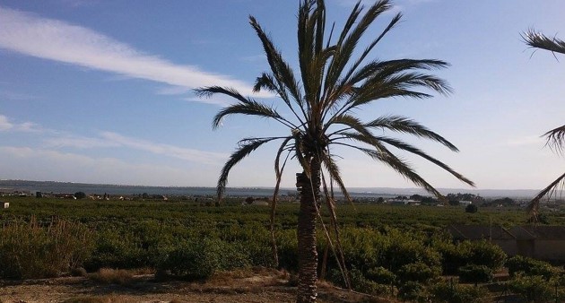 Sprzedaż - Posiadłość wiejska - Guardamar del Segura