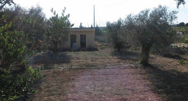 Sprzedaż - Posiadłość wiejska - Guardamar del Segura