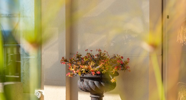 Vente - Villa - San Fulgencio - Oasis