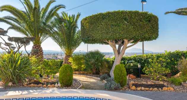 Vente - Villa - San Fulgencio - Oasis