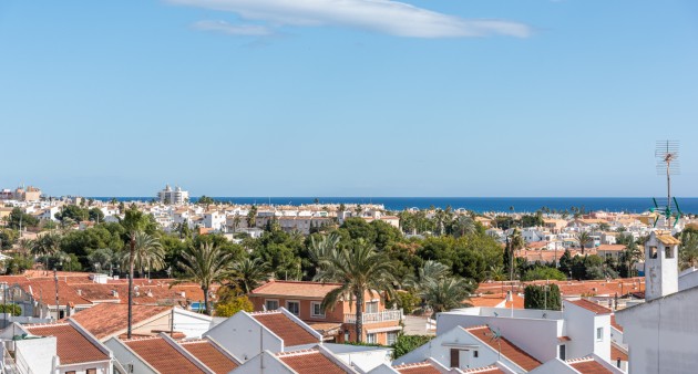 Sprzedaż - Penthouse - Torrevieja