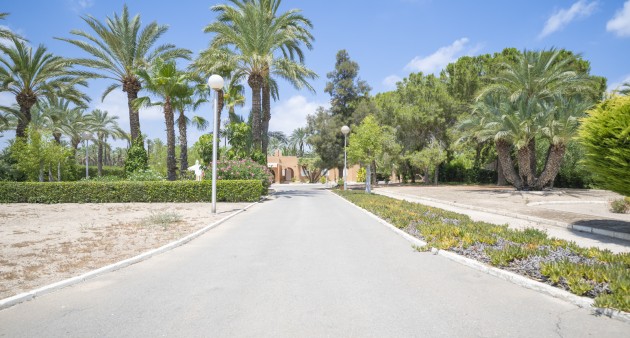 Vente - Villa - Elche/Elx