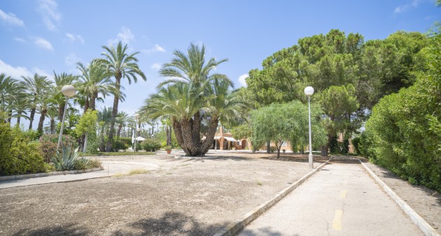 Vente - Villa - Elche/Elx