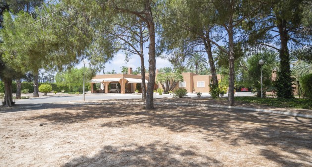 Vente - Villa - Elche/Elx