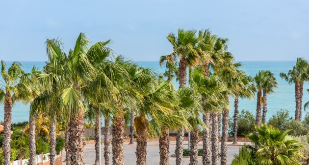 Sale - Apartment - Cabo Roig