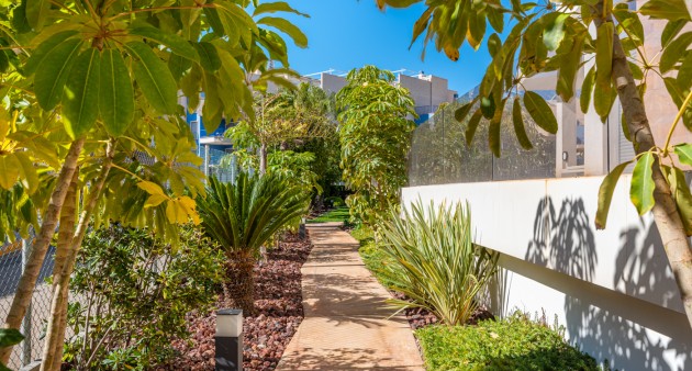 Sale - Apartment - Cabo Roig